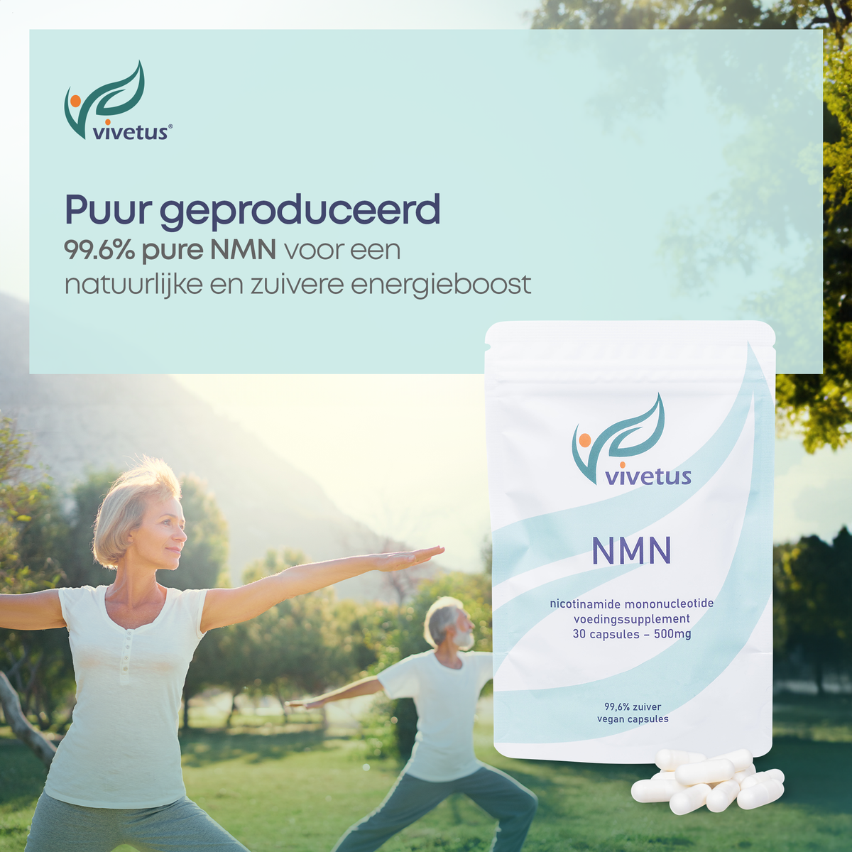 Vivetus® NMN polvo