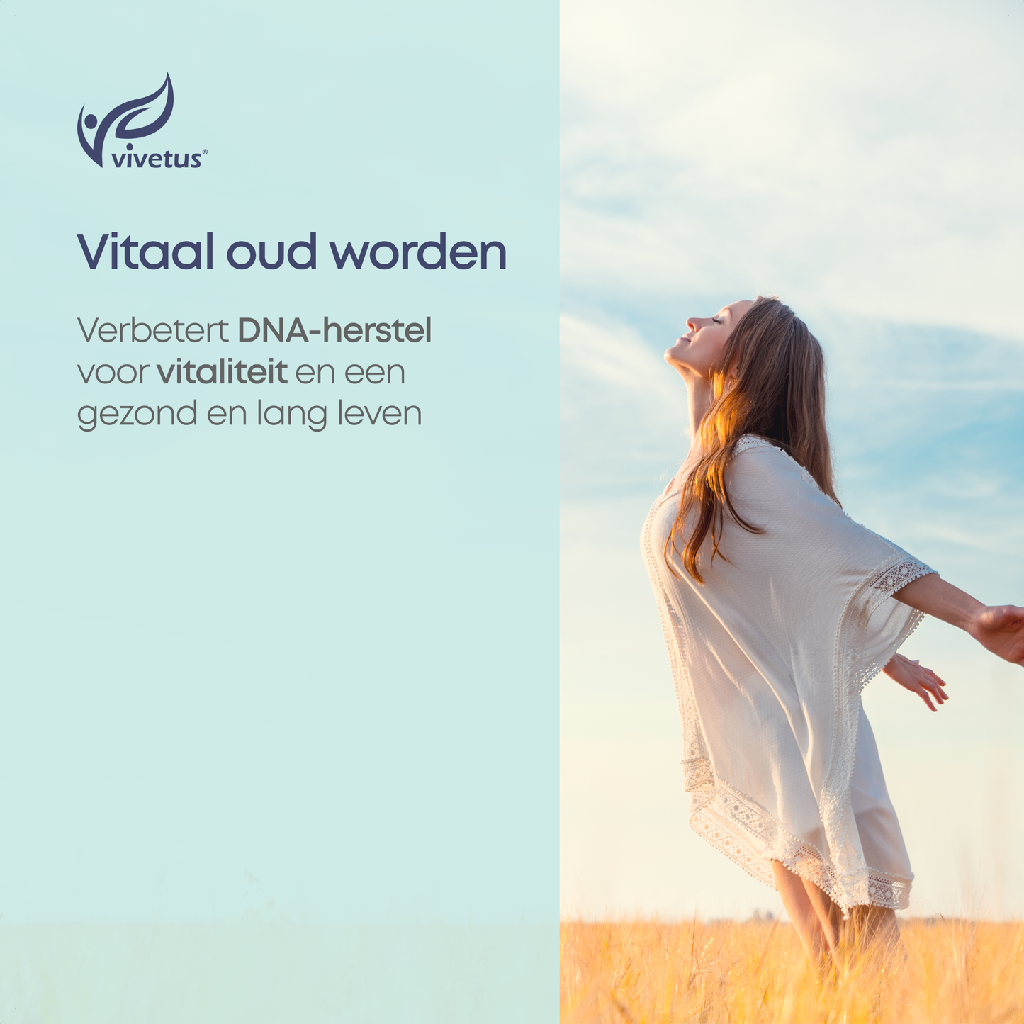 Vivetus® Pterostilbene - 30 capsules - 500mg