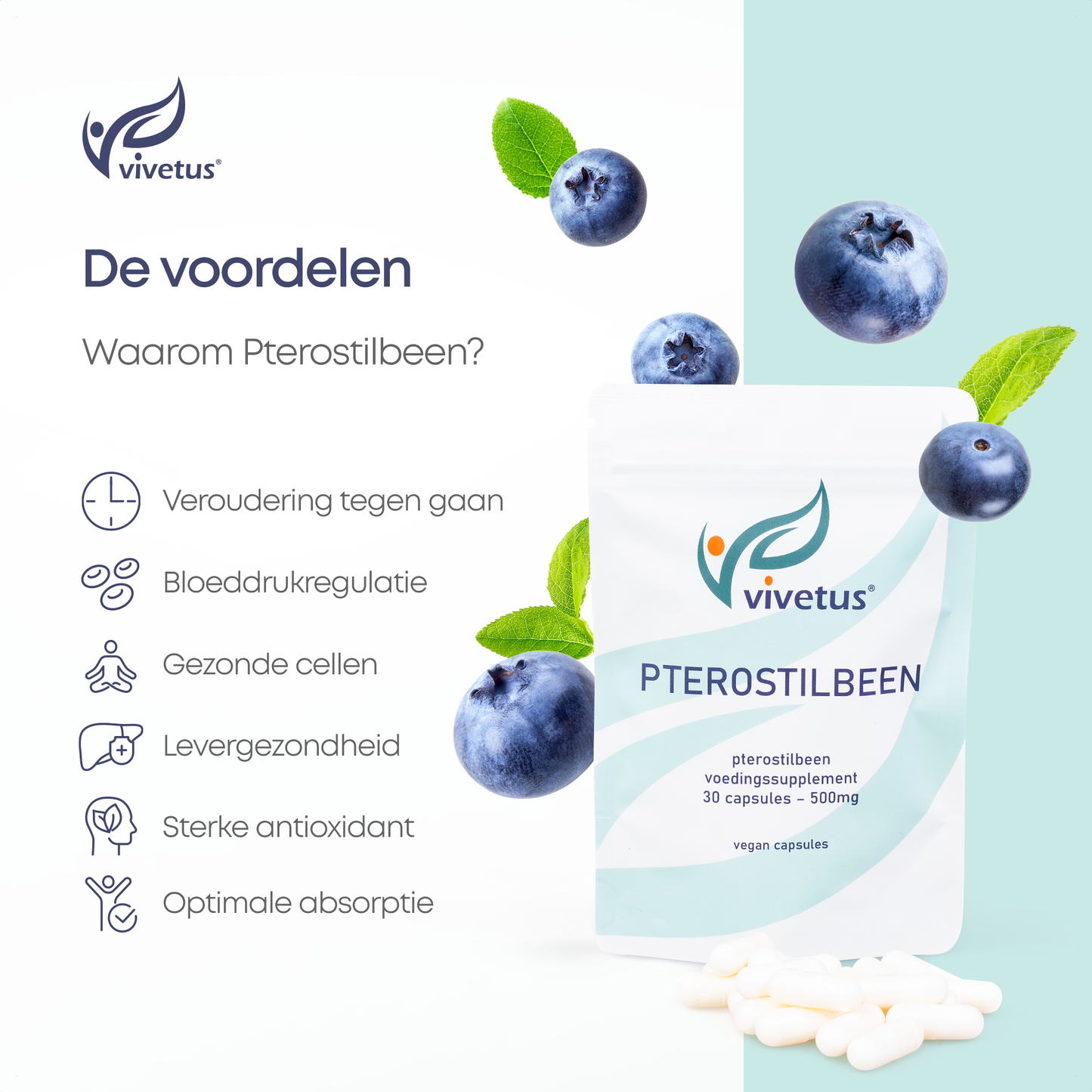 Vivetus® Pterostilbene - 30 capsules - 500mg