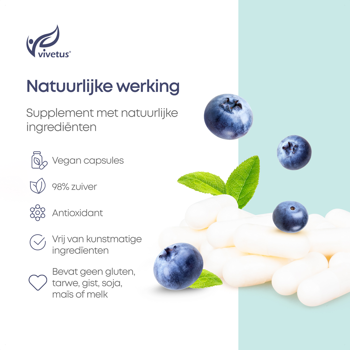 Vivetus® Pterostilbene - 30 capsules - 500mg