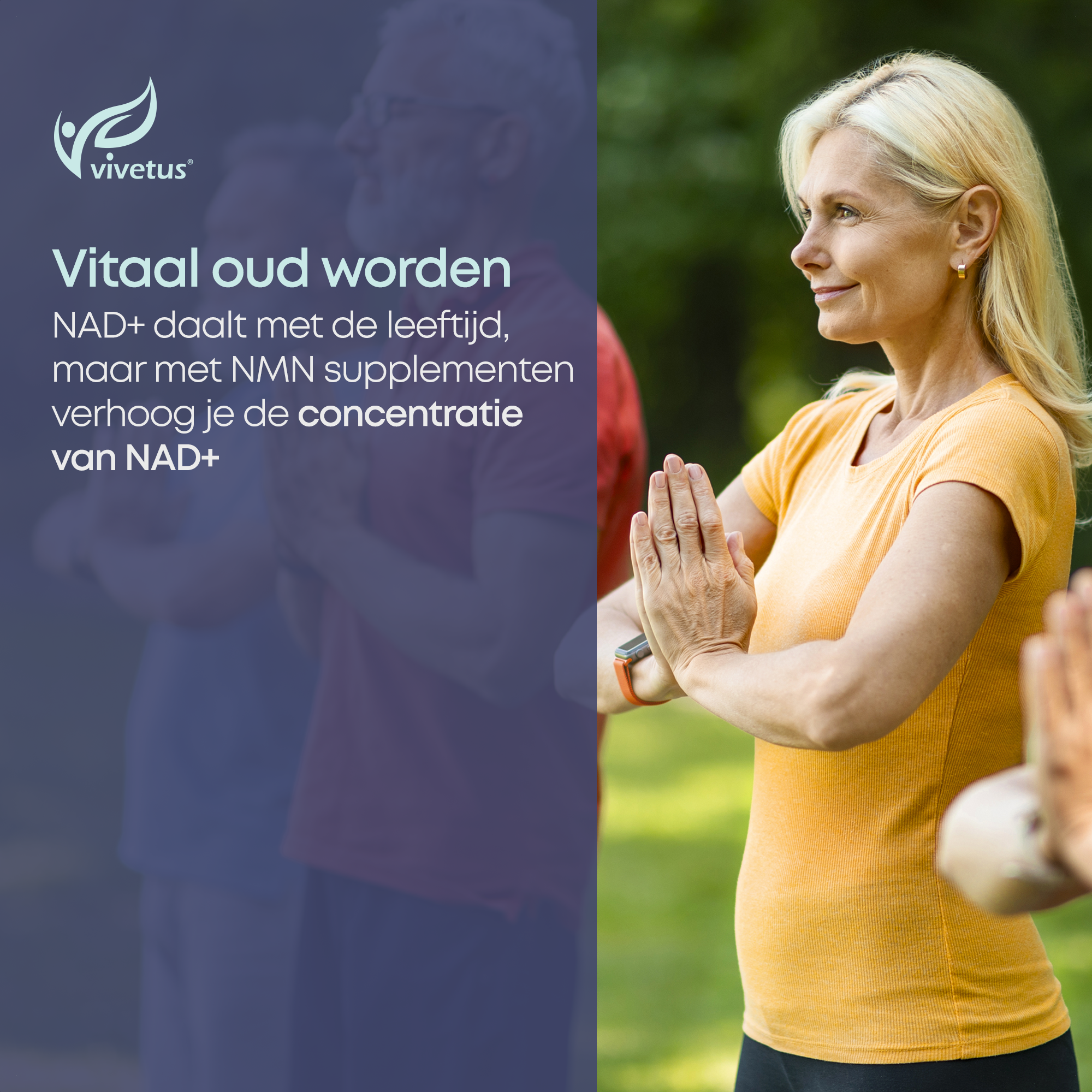 Vivetus® NMN (60 x 500mg capsules) NAD+ booster