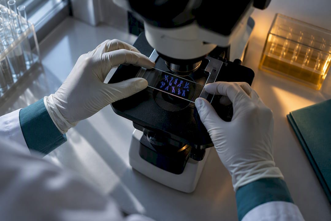 Researcher preparing chromosome analysis slide