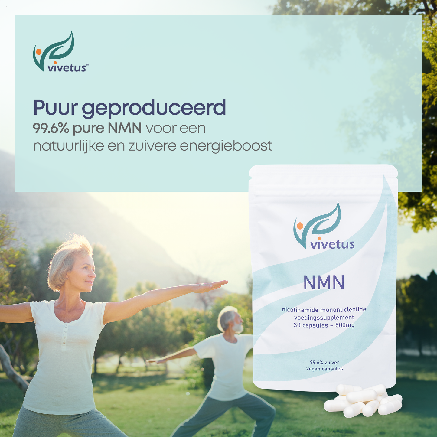 Vivetus NMN powder