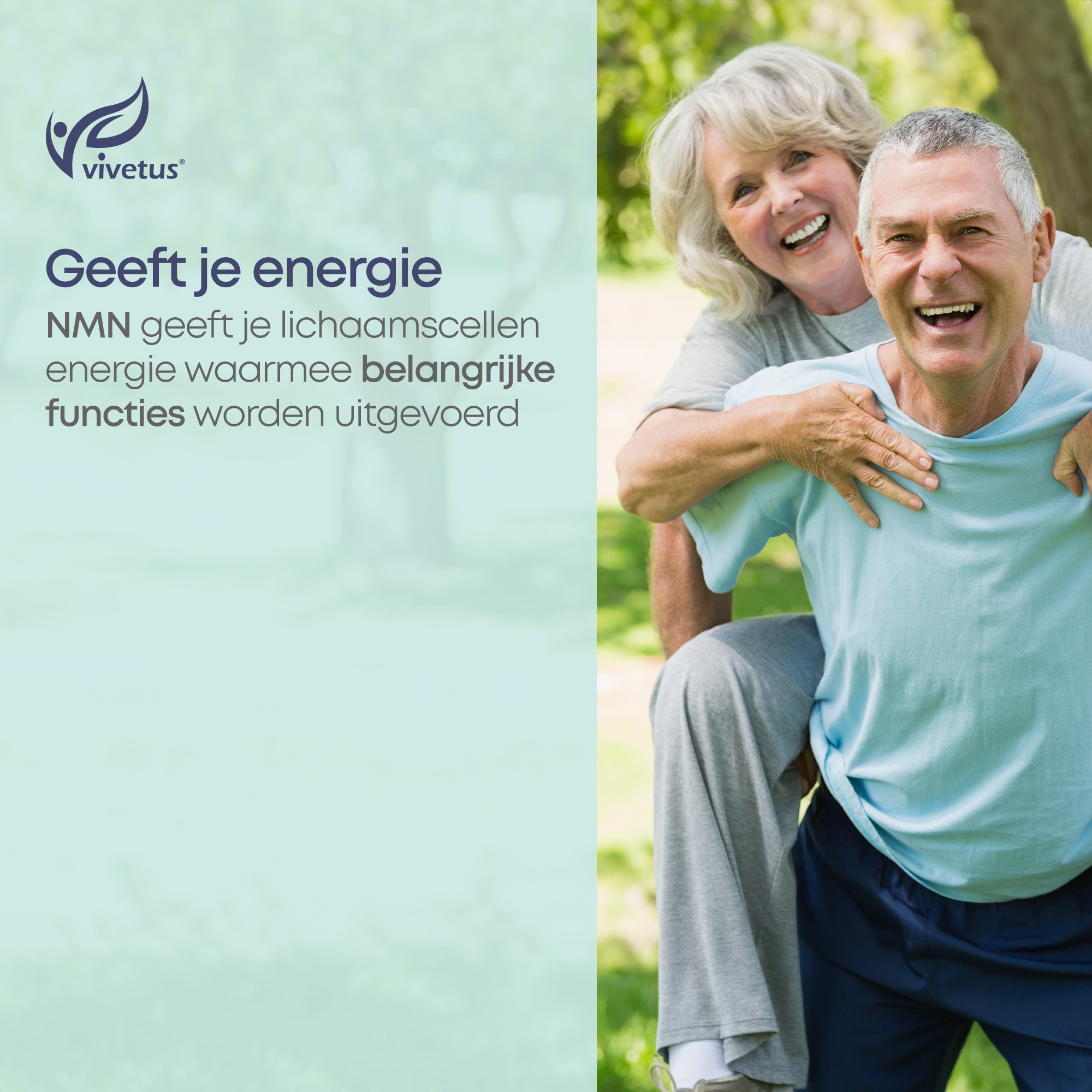 Vivetus® NMN (60 x 500mg capsules) NAD+ booster