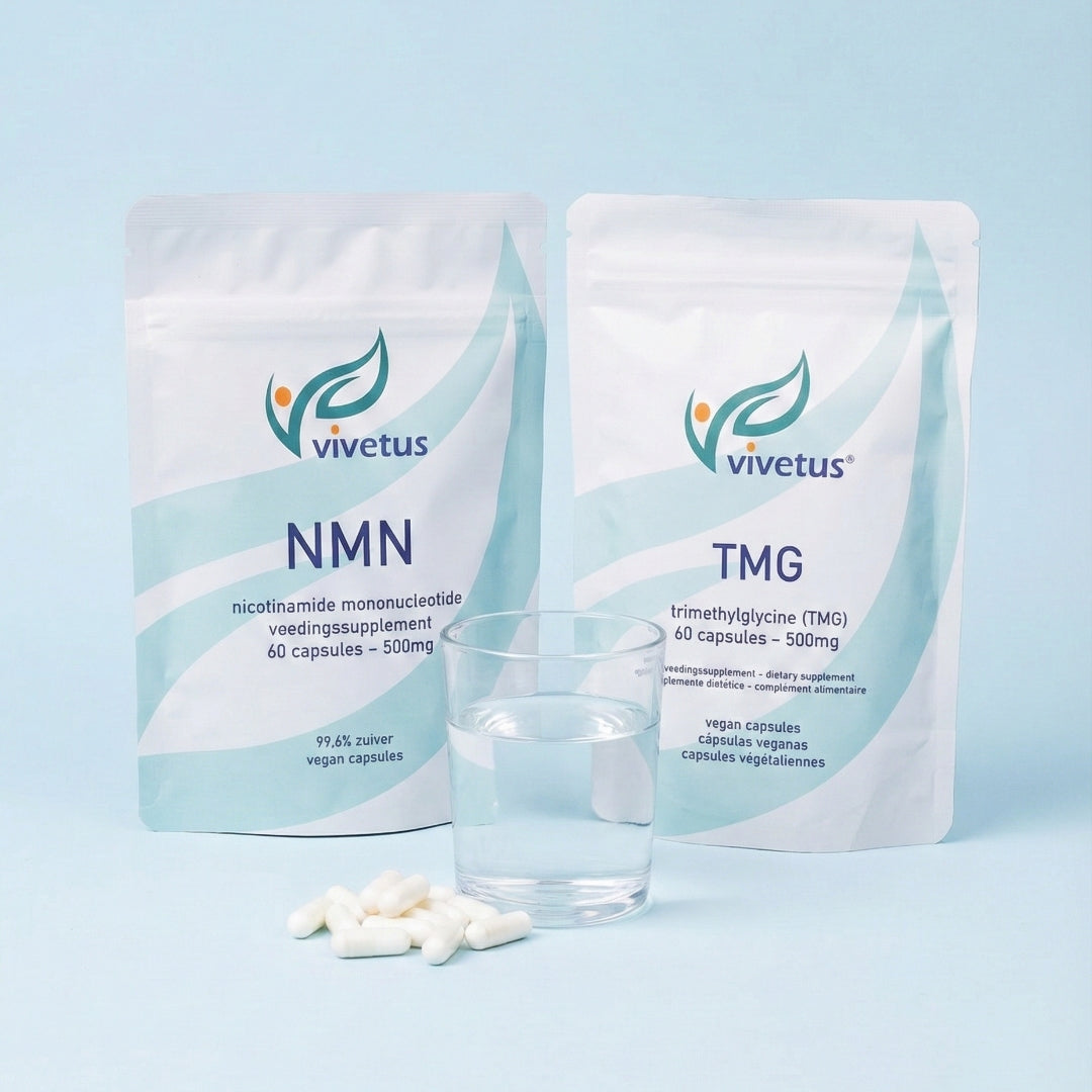 🧠 Pack Cerveau et Concentration